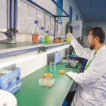 Lab Flask Cork Stand - Support for Round Bottom Flasks