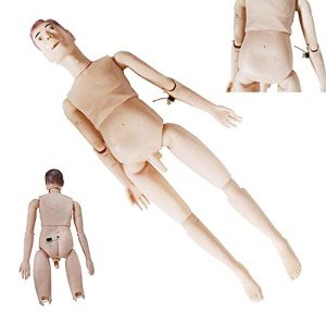 Anatomical Man Model for Nursing Education Training