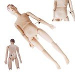 Anatomical Man Model for Nursing Education Training
