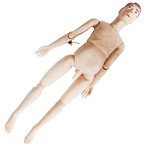 Anatomical Man Model for Nursing Education Training