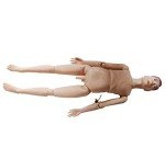 Anatomical Man Model for Nursing Education Training