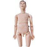 Anatomical Man Model for Nursing Education Training