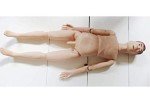 Anatomical Man Model for Nursing Education Training