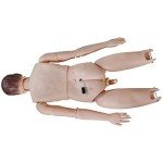 Anatomical Man Model for Nursing Education Training