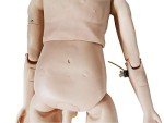 Anatomical Man Model for Nursing Education Training
