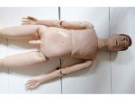 Anatomical Man Model for Nursing Education Training