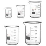 StonyLab Borosilicate Glass Beaker Set - 5 Sizes