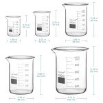 StonyLab Borosilicate Glass Beaker Set - 5 Sizes