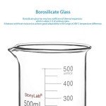 StonyLab Borosilicate Glass Beaker Set - 5 Sizes