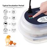 HBlife Automatic Digital Egg Incubator for Poultry
