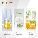 ULAB Heavy Duty Borosilicate Glass Beakers 1000ml