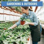 Dre Health Medium Clear Vinyl Exam Gloves - 100 Pack