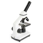 Celestron Labs Monocular Compound Microscope 40-800x