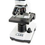 Celestron Labs Monocular Compound Microscope 40-800x
