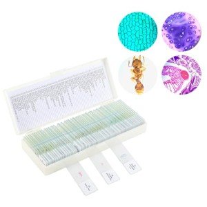 60 Prepared Microscope Slides for Kids' Science