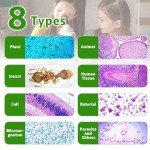 60 Prepared Microscope Slides for Kids' Science