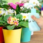 6pcs Curved Mouth Laboratory Wash Bottles