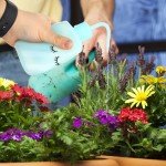 6pcs Curved Mouth Laboratory Wash Bottles