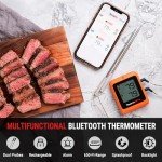 ThermoPro Wireless Meat Thermometer with 2 Probes