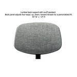 Height Adjustable Doctor's Stool with Backrest