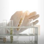 100 Clear Test Tubes with Caps for Experiments