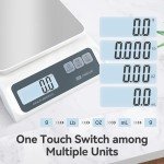 Precision Digital Food Scale - 13lb Capacity