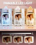 BEICHEN Mini Skincare Fridge with LED Mirror