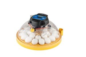 Brinsea Maxi 24 EX Automatic Egg Incubator