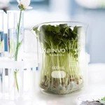 Low Form Graduated Glass Beaker Set - 1000ml & 2000ml