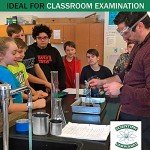 Edu-Labs 250ml Low-Form Stainless Steel Beaker