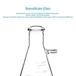 StonyLab 2-Pack Borosilicate Glass Filtering Flasks