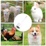 3 Pack 100ml Plastic Syringes with Test Tubes