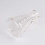 StonyLab 2-Pack Borosilicate Glass Filtering Flasks