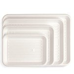 Biodegradable Small Instrument Tray - Pack of 250