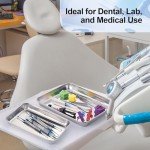 Stainless Steel Medical Trays - 3 Pack