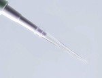 Extragene™ 10 µL Universal Pipette Tips - 1000 Pack