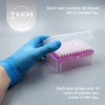 Kashi Scientific 200 uL Universal Filtered Pipette Tips
