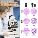 Sedumic Compound Binocular Microscope 40X-2000X with LED