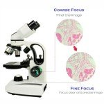 Sedumic Compound Binocular Microscope 40X-2000X with LED