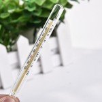 3-Piece Glass Oral Thermometer Set for Adults