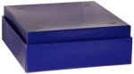 Heathrow Scientific Blue Cryovial Box Set of 12
