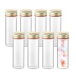 20 PCS 25ML Clear Glass Test Tubes with Caps