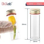 20 PCS 25ML Clear Glass Test Tubes with Caps