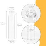 Clear Glass Vials with Screw Caps - 12 Pack