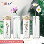 20 PCS 25ML Clear Glass Test Tubes with Caps