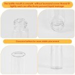 Clear Glass Vials with Screw Caps - 12 Pack