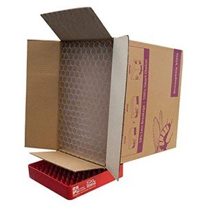 Drosophila Disposable Plastic Observation Vials - 1000 Count