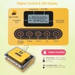 25-Egg Automatic Incubator with Humidity Control