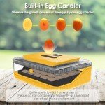 25-Egg Automatic Incubator with Humidity Control