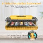 25-Egg Automatic Incubator with Humidity Control